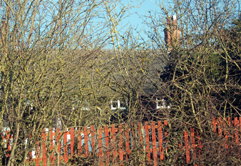 All that can be seen of 18 and 20 from Broughton Road January 2011